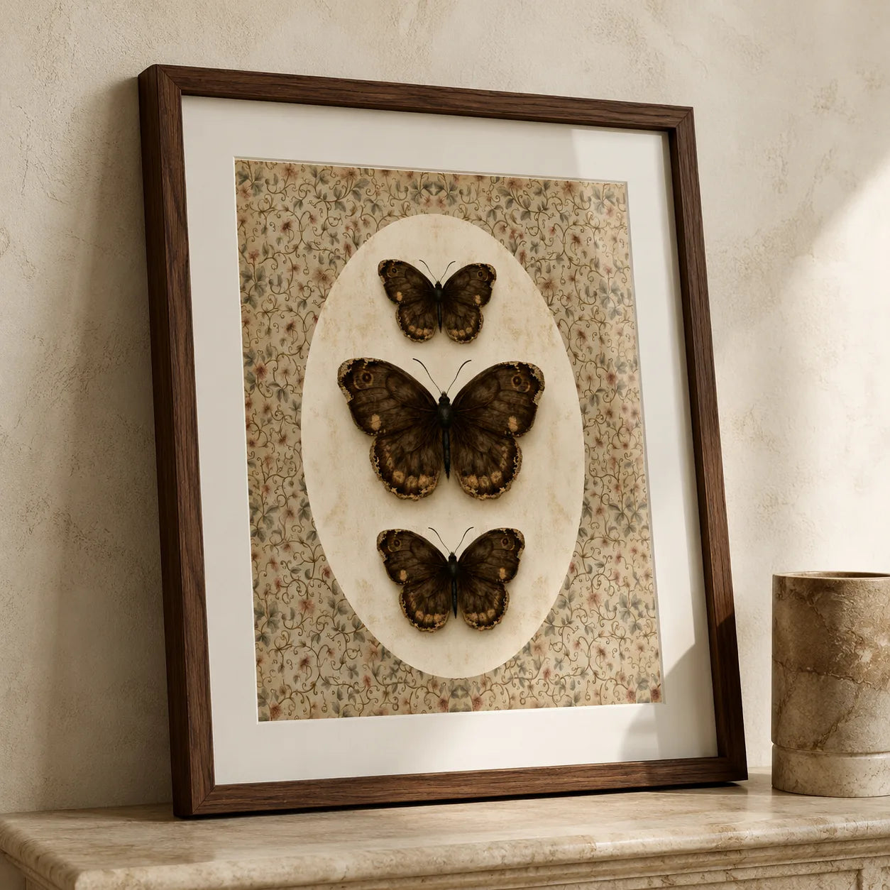 Butterfly Specimen Wall Art Decor - Wall Art Decor - packaging