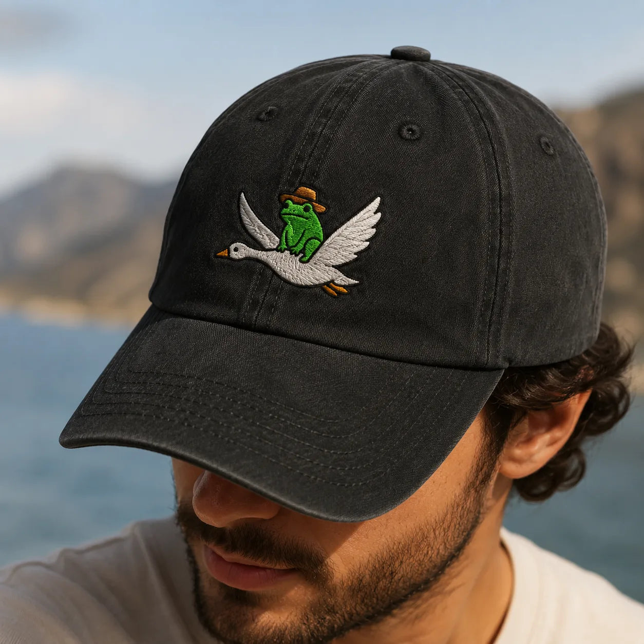 Frog Riding Goose Washed Cap - washed cap - lifestyle
