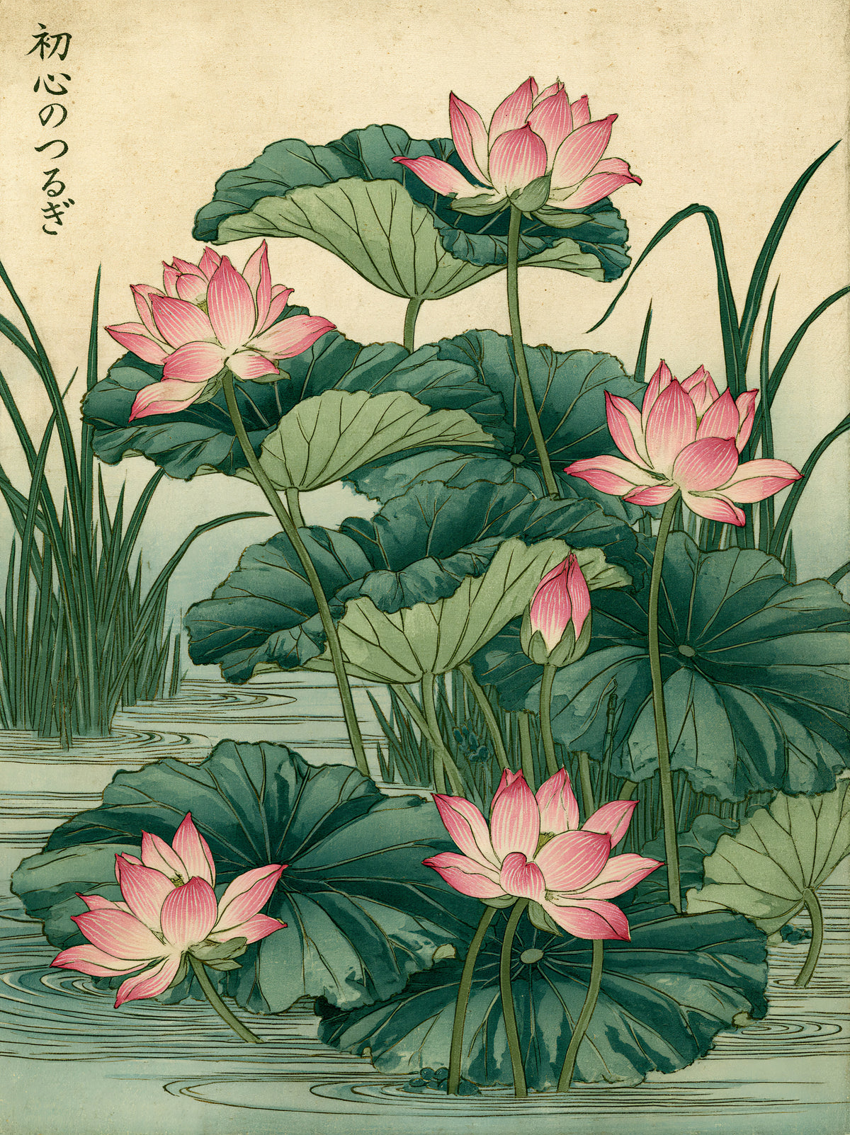 Japanese Lotus Art Print - Wall Art Decor - front view - lotus flower wall art, pink botanical poster