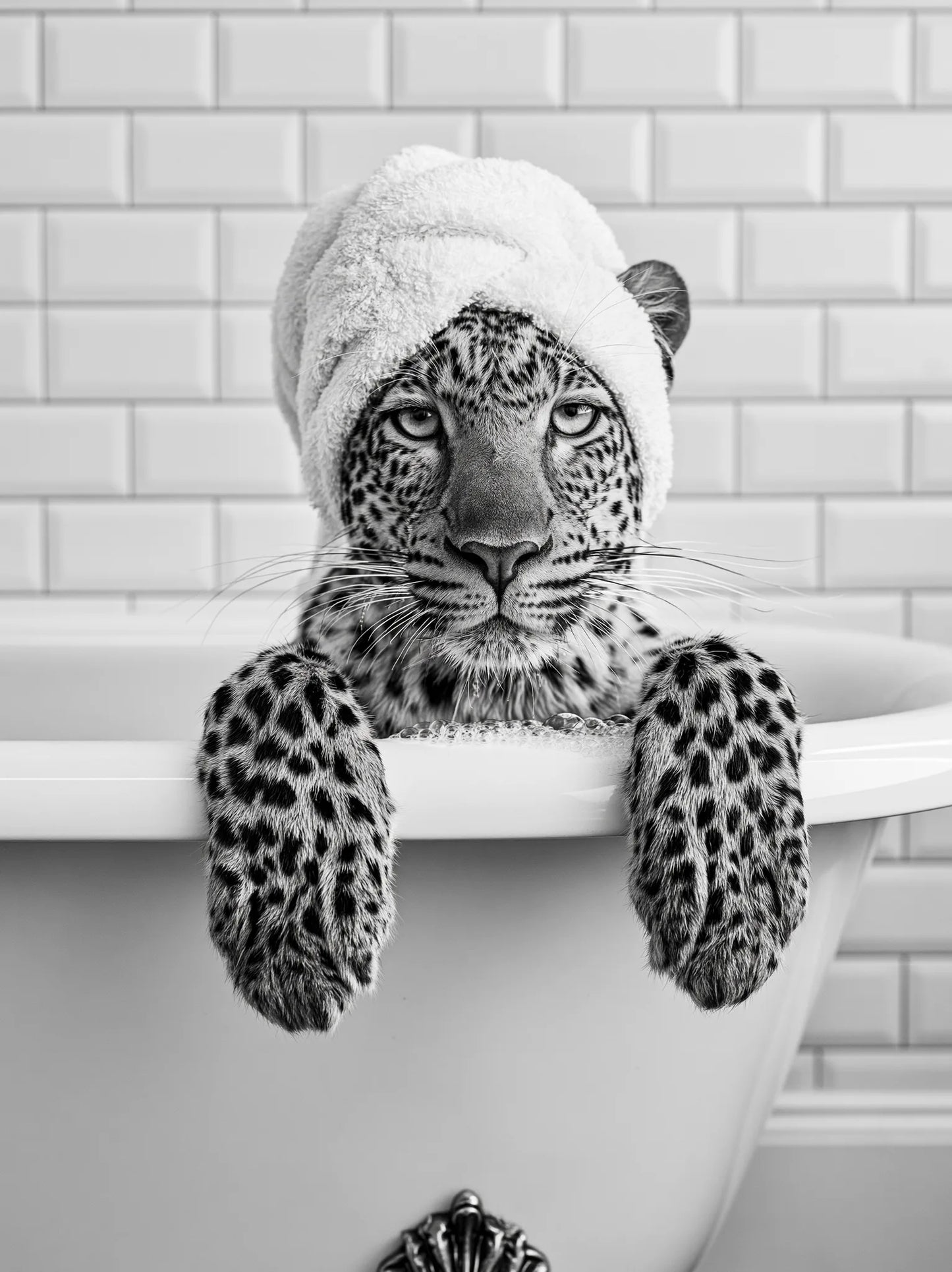 Leopard in Bathtub Wall Art Decor - Wall Art Decor - front view