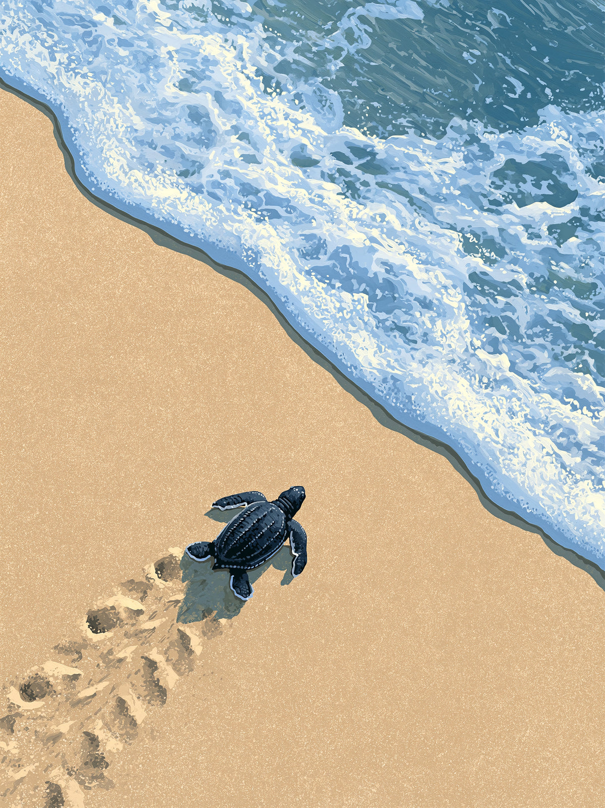 Sea Turtle Wall Art - Wall Art Decor - front view - sea turtle art print, coastal turtle wall decor