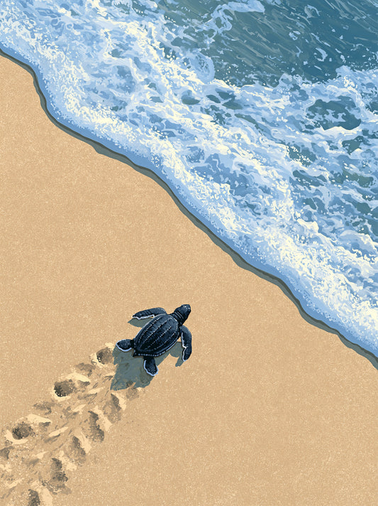 Sea Turtle Wall Art - Wall Art Decor - front view - sea turtle art print, coastal turtle wall decor