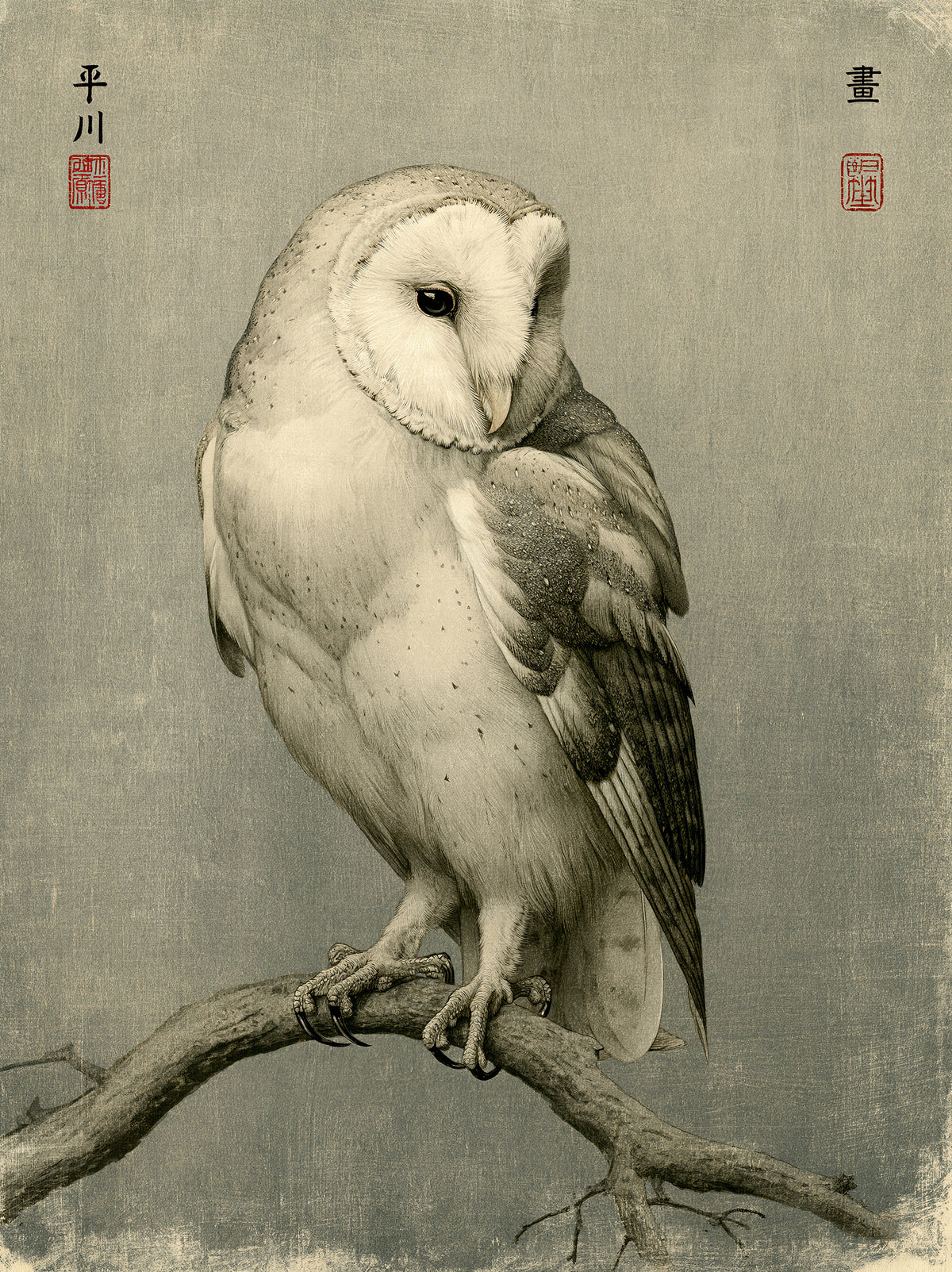 Vintage Barn Owl Art Print - Wall Art Decor - front view - barn owl poster, canvas print